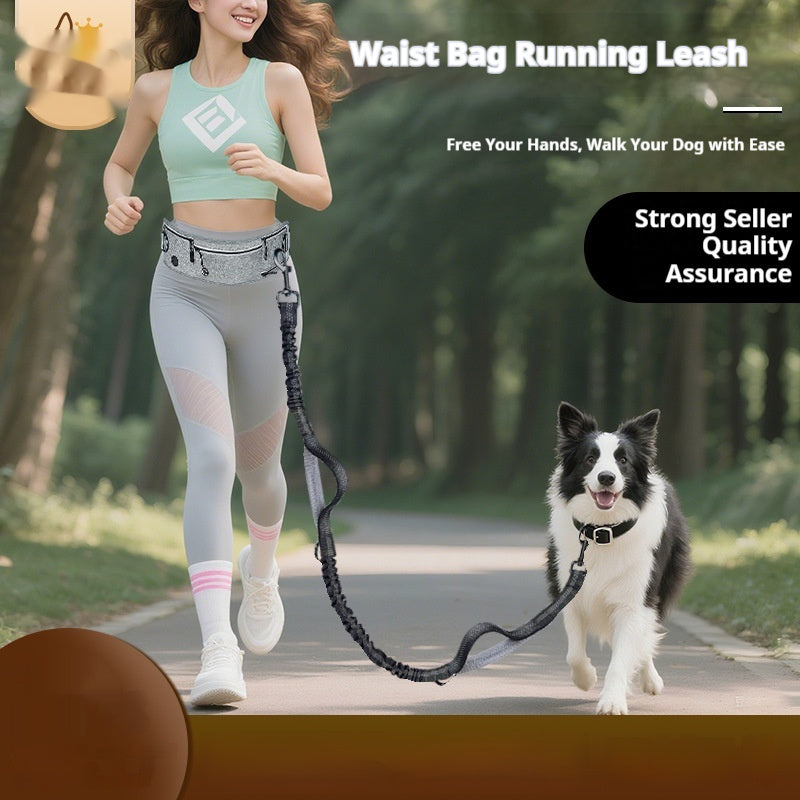 Retractable Pet Leash