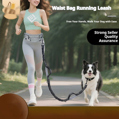Retractable Pet Leash