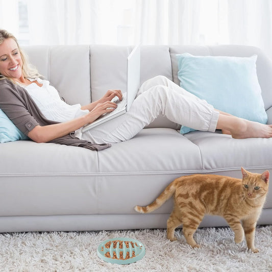 Cat Slow Feeder Bowl