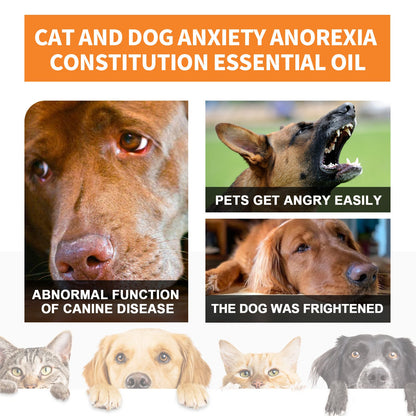 Cat And Dog Diet Care