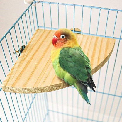 Bird Cage Accessories
