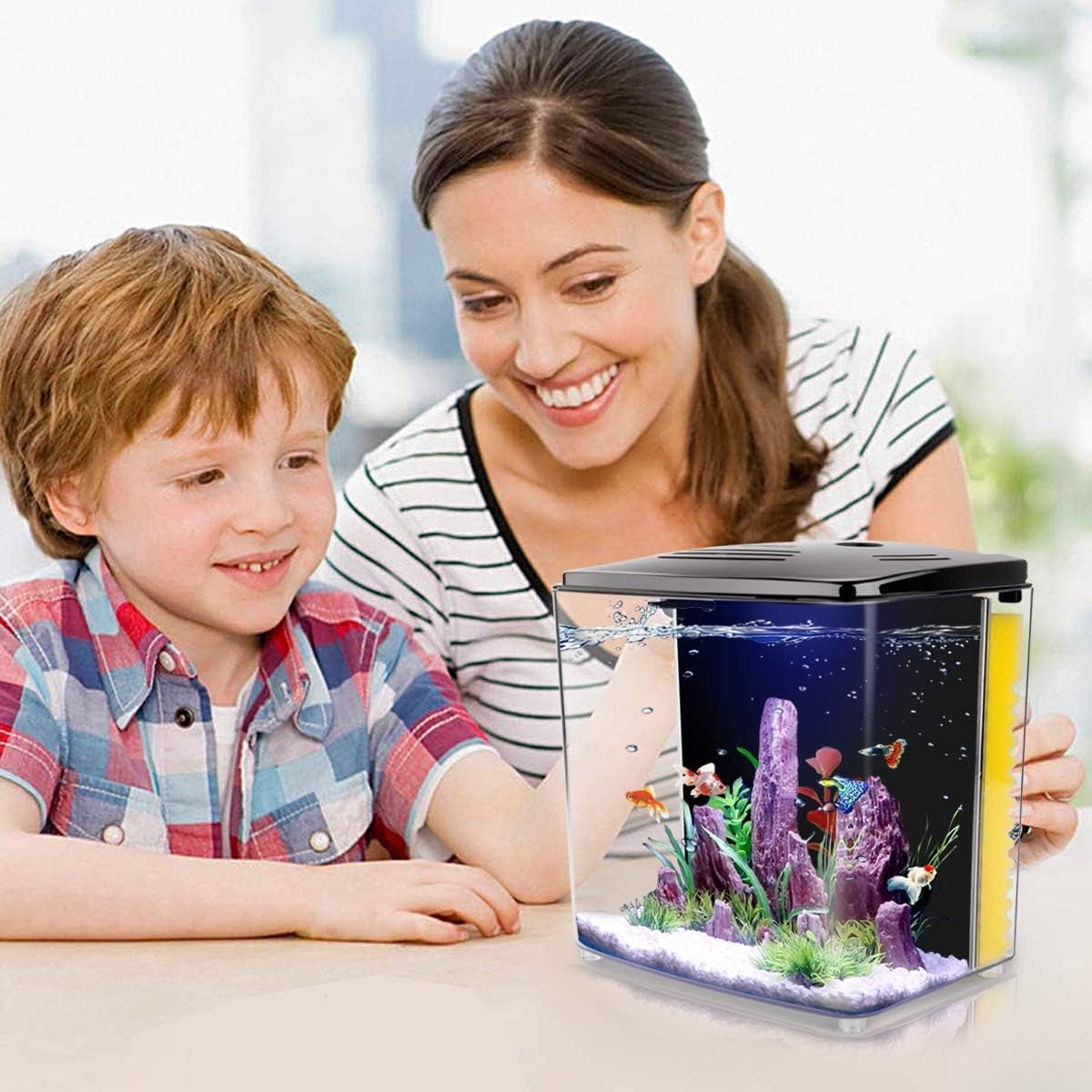1.2 Gallon Betta Aquarium