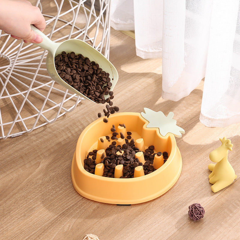 Pet Feeding Bowls