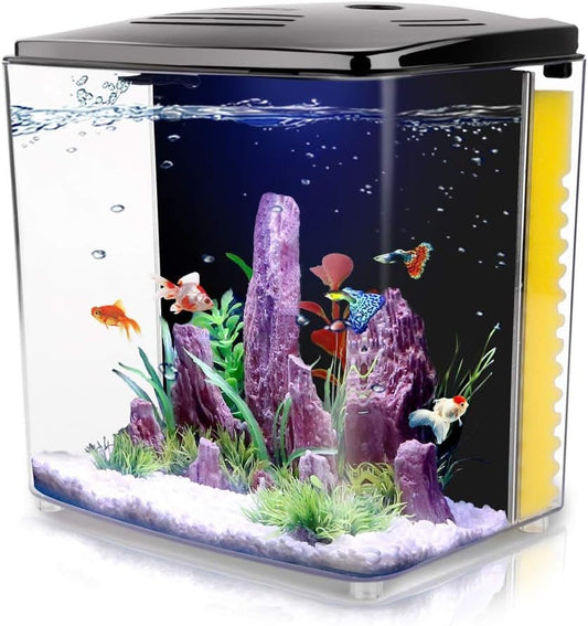 1.2 Gallon Betta Aquarium