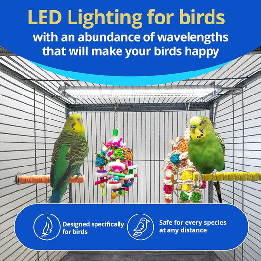 Bird Cage Light