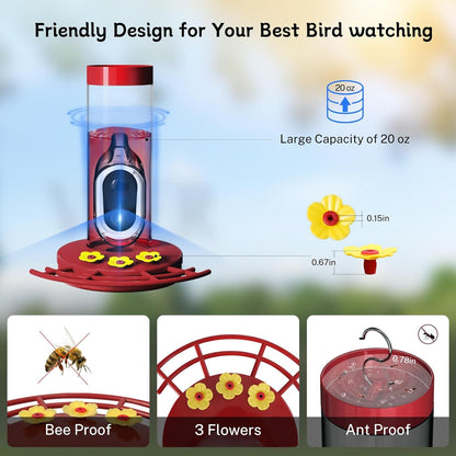 Hummingbird Feeder Camera