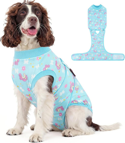 Dog Recovery Suit — Post-Surgery Coverage for Male & Female Dogs, Soft & Stretchy (XS–2XL)