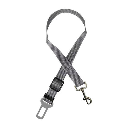 Seat Belt Harness