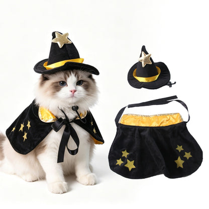 Pet Costume