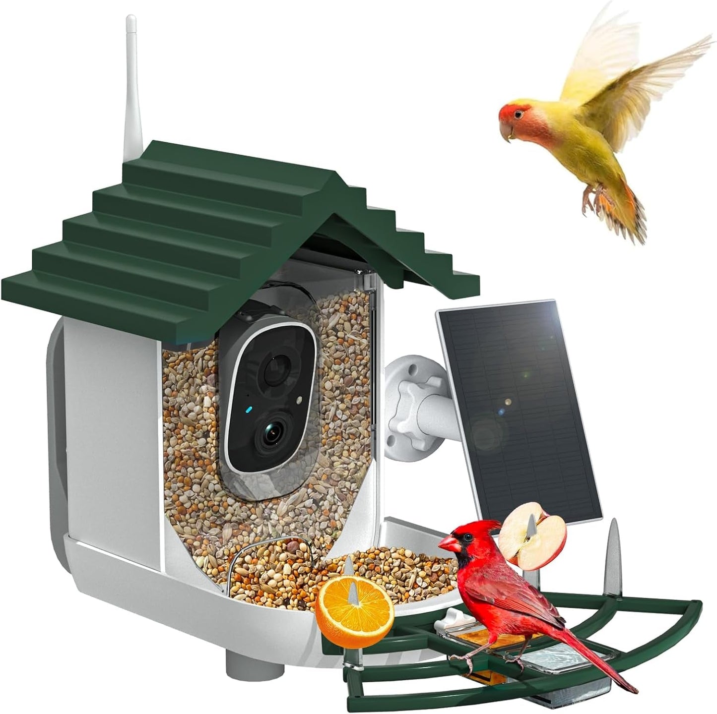 Bird Feeder Camera