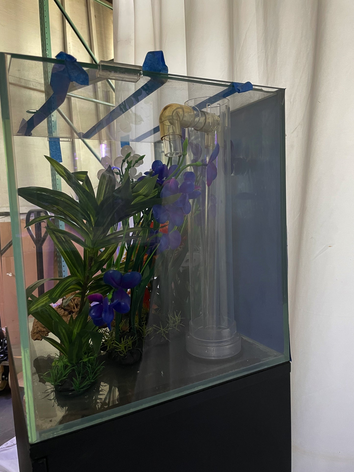 Cube Fish Tank