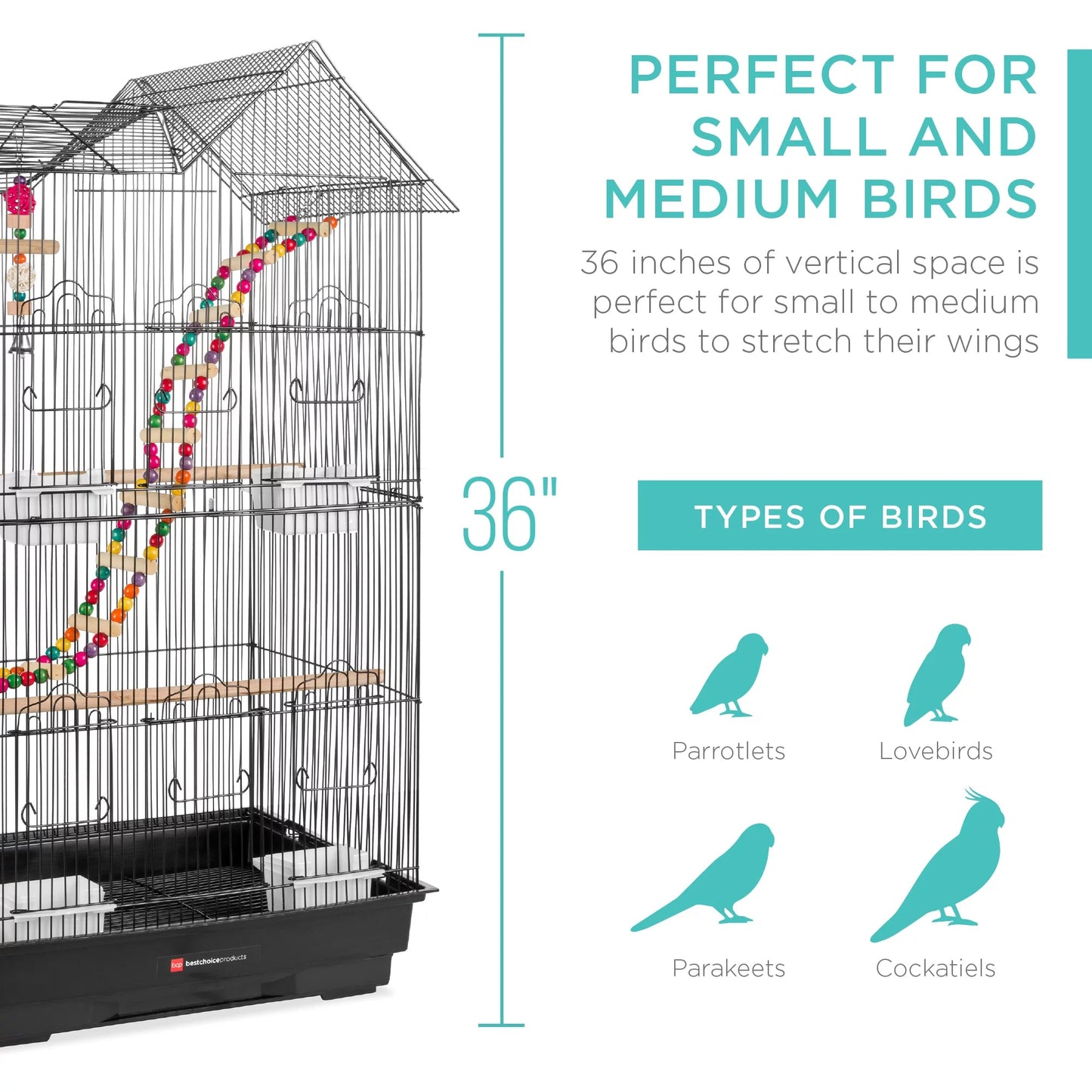 Iron Bird Cage