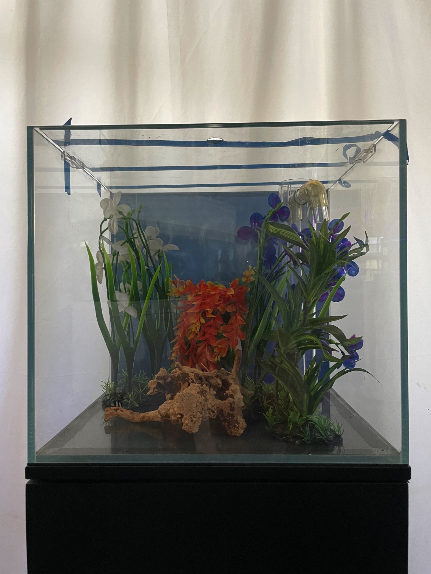 Cube Fish Tank