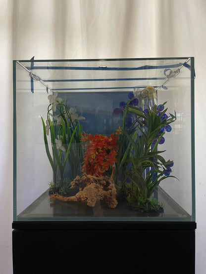 Cube Fish Tank