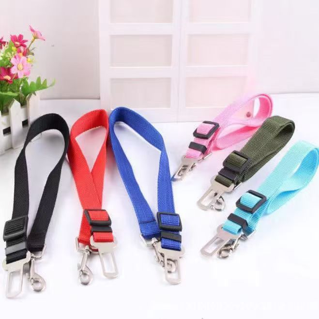Seat Belt Harness