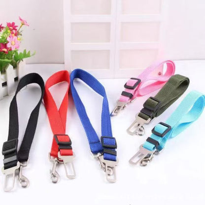 Seat Belt Harness