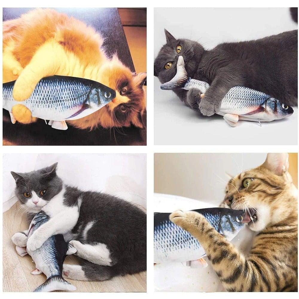 Fish Cat Toy
