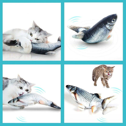 Fish Cat Toy