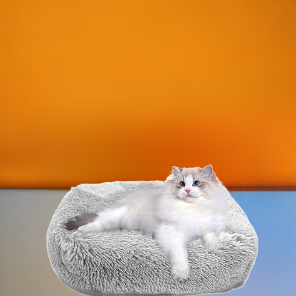 Cat Bed Indoor