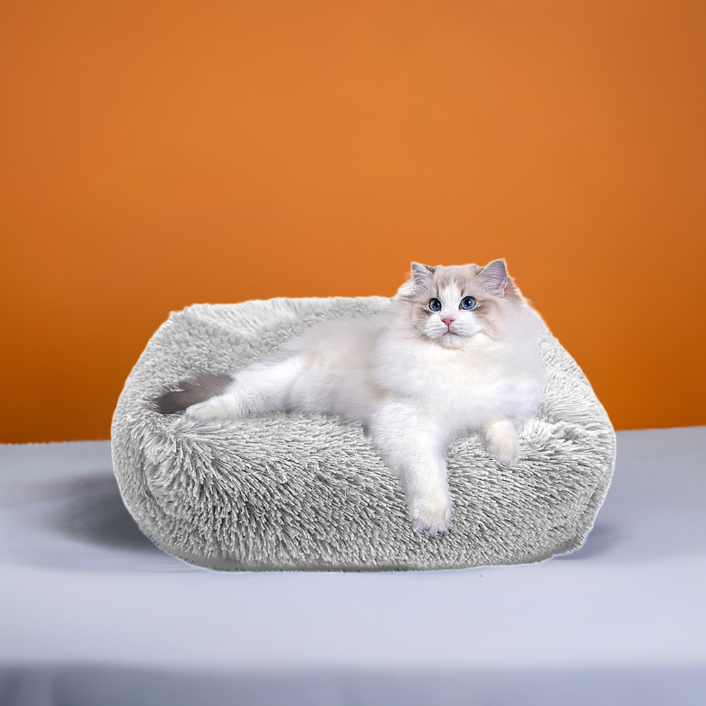 Cat Bed Indoor