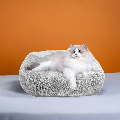 Cat Bed Indoor