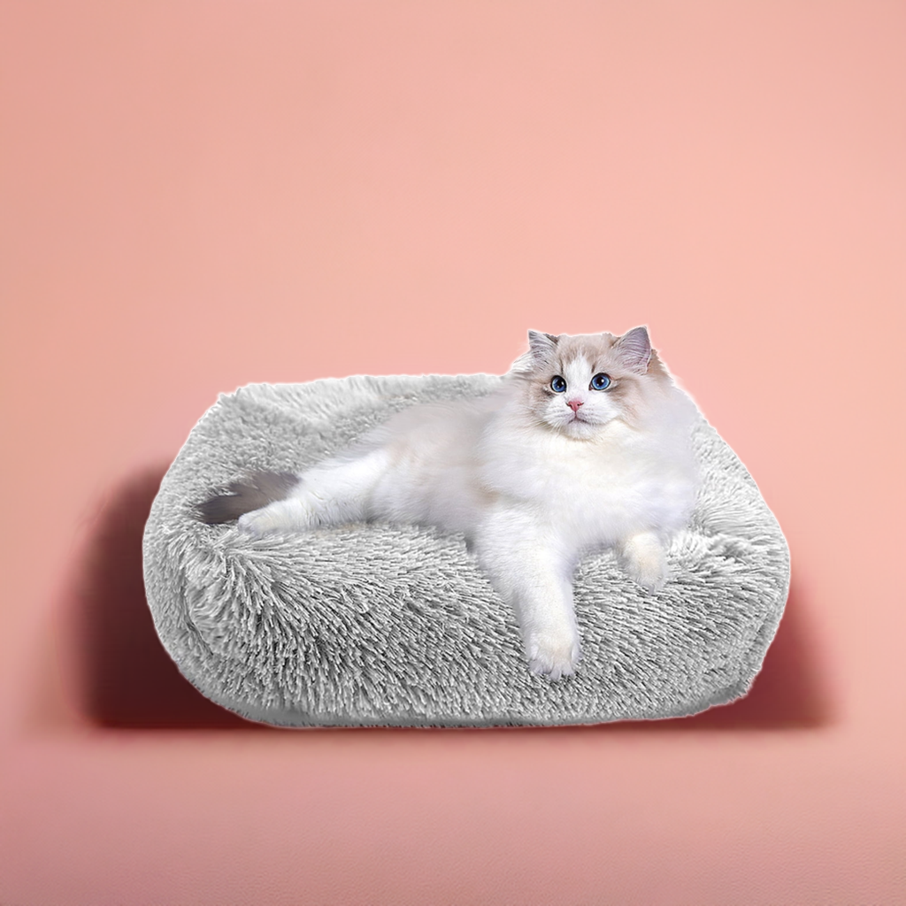Cat Bed Indoor