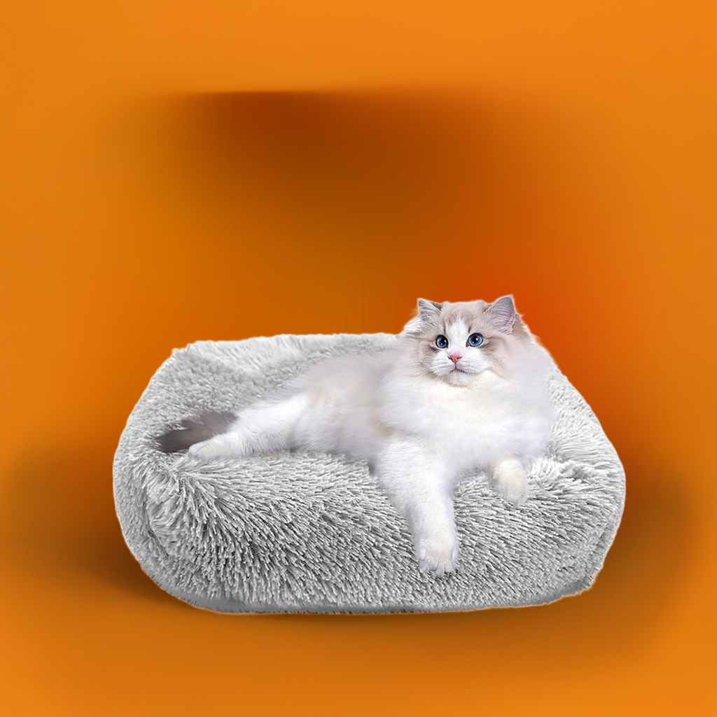 Cat Bed Indoor