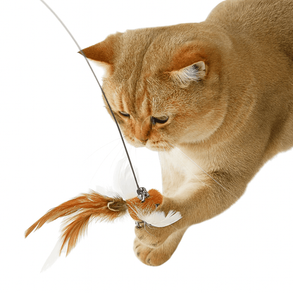 Cat Wand with Bell
