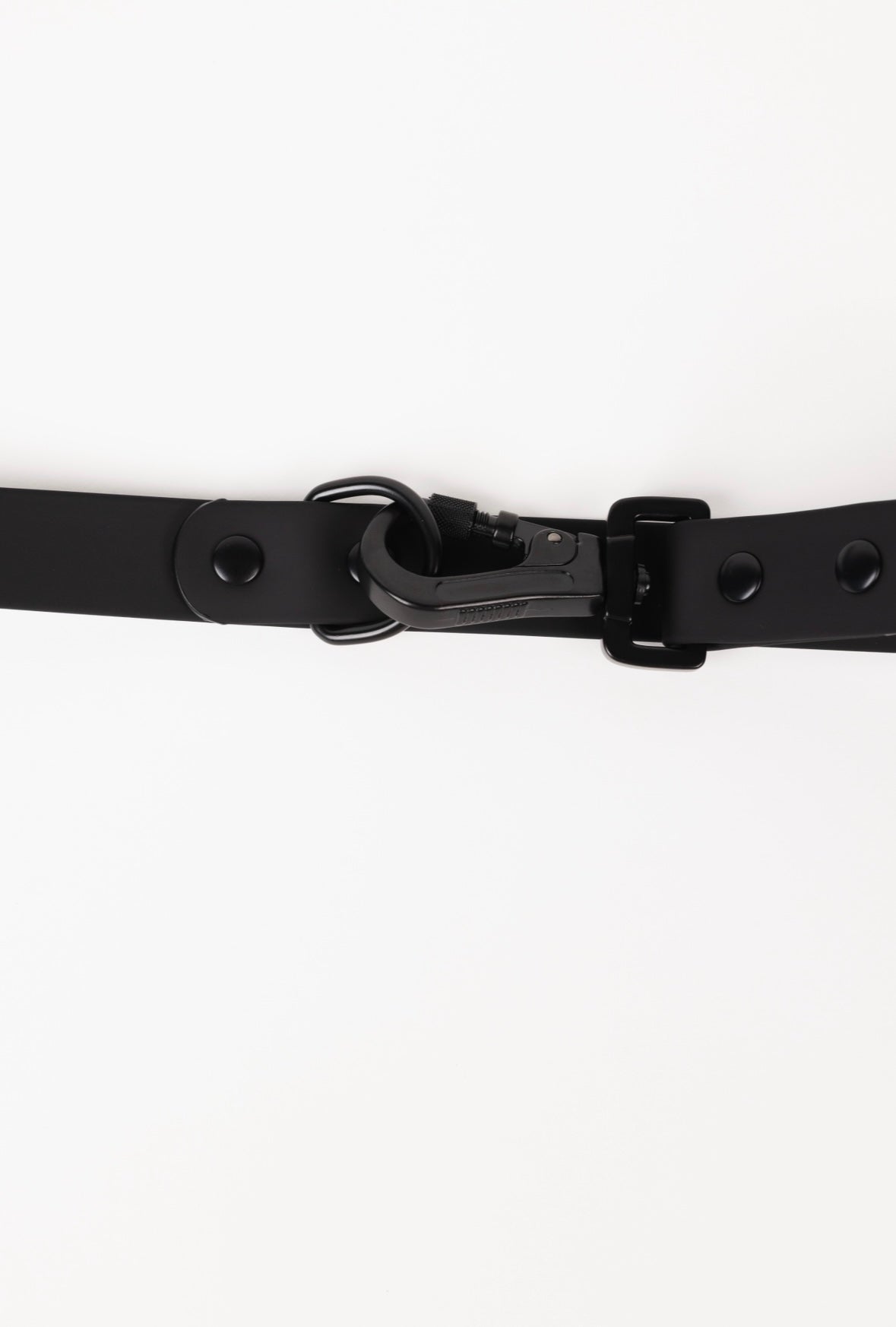 Better in Black Leash