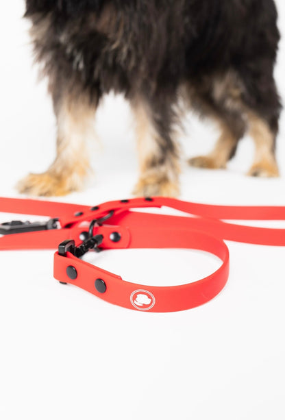 Ruby Red Adjustable Leash
