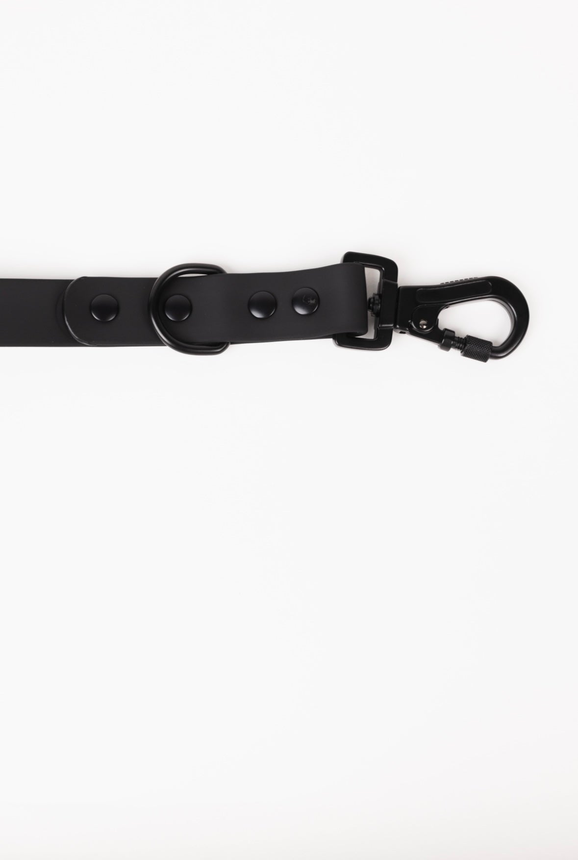 Better in Black Leash