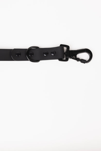 Better in Black Leash