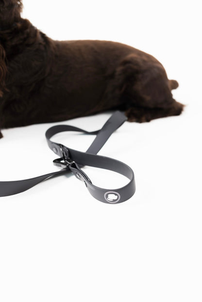 Better in Black Leash