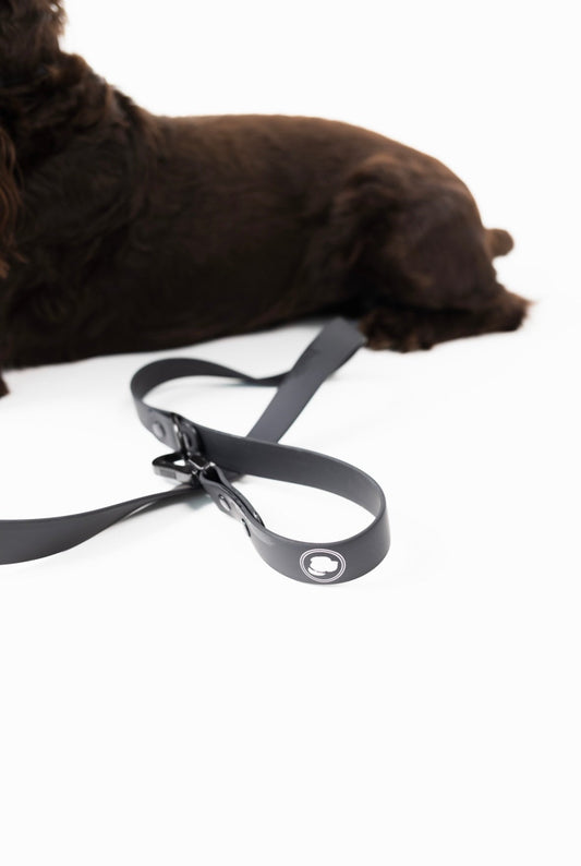 Better in Black Leash