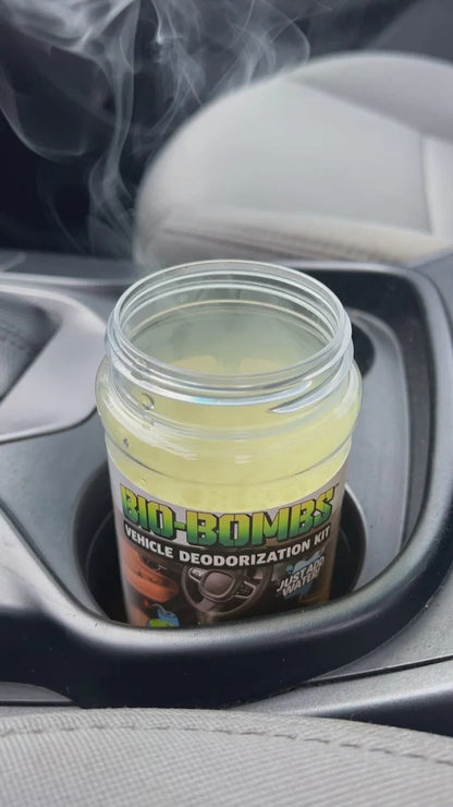 Vehicle Deodorization Kit