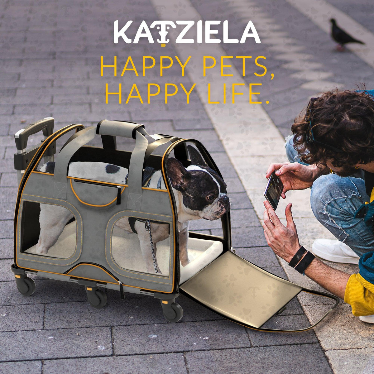 Pet Carrier with Wheels and Handle