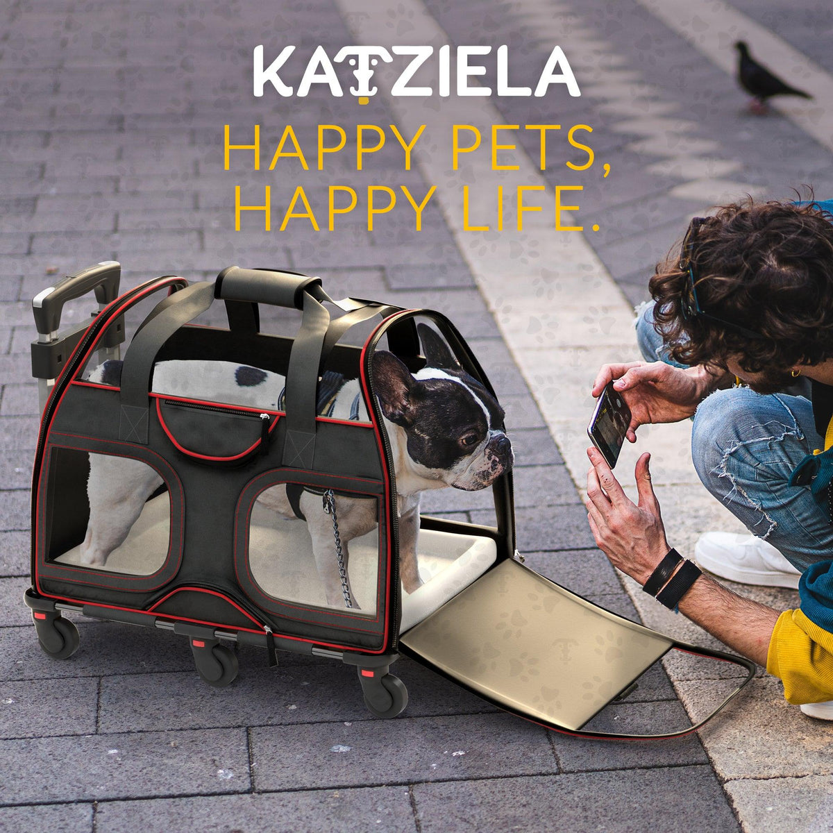 Pet Carrier with Wheels and Handle