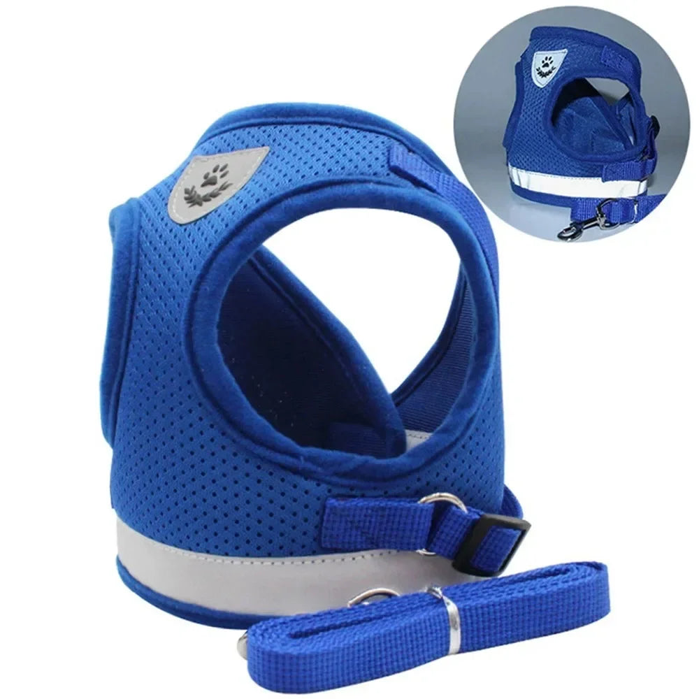 Harness and Leash