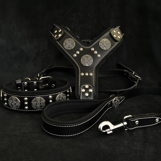 Big Dog Set