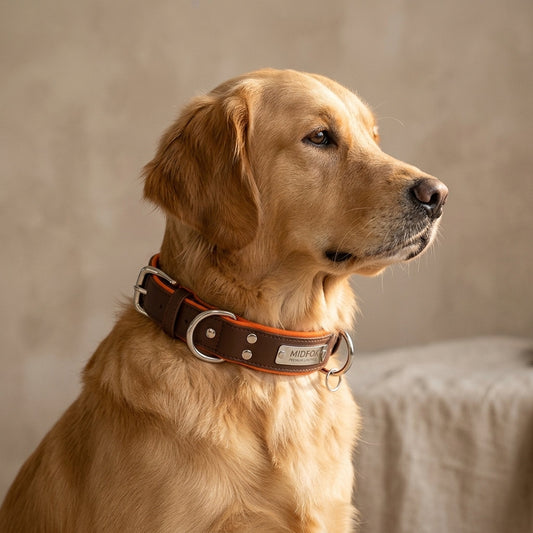 Leather Dog Collar