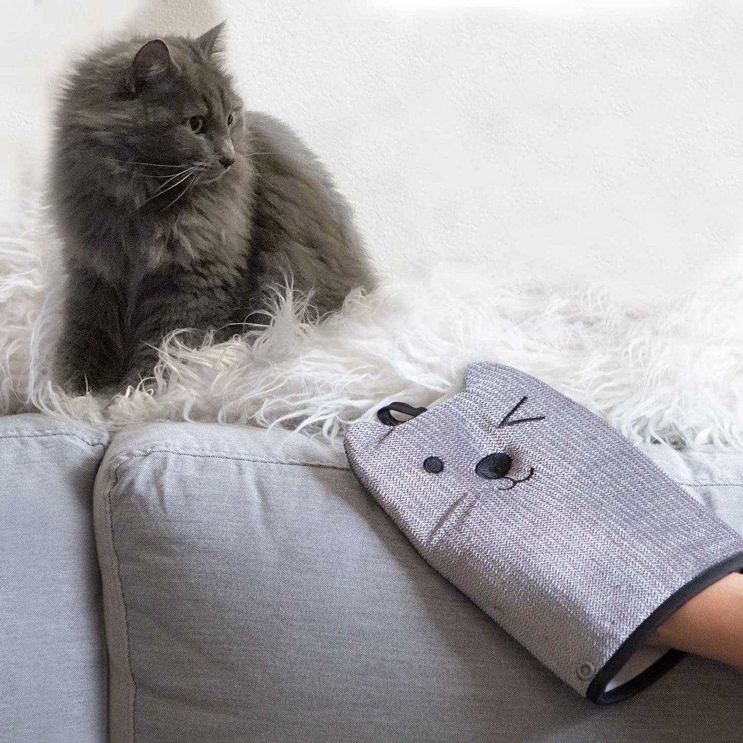 Pet Hair Remover
