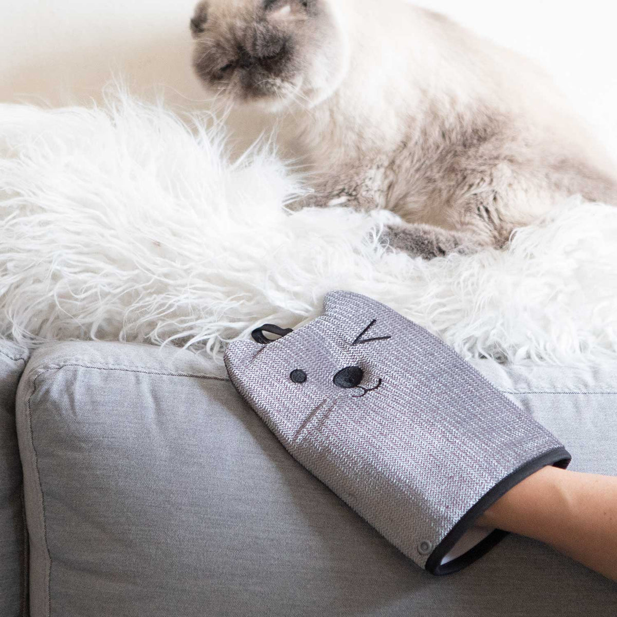 Pet Hair Remover