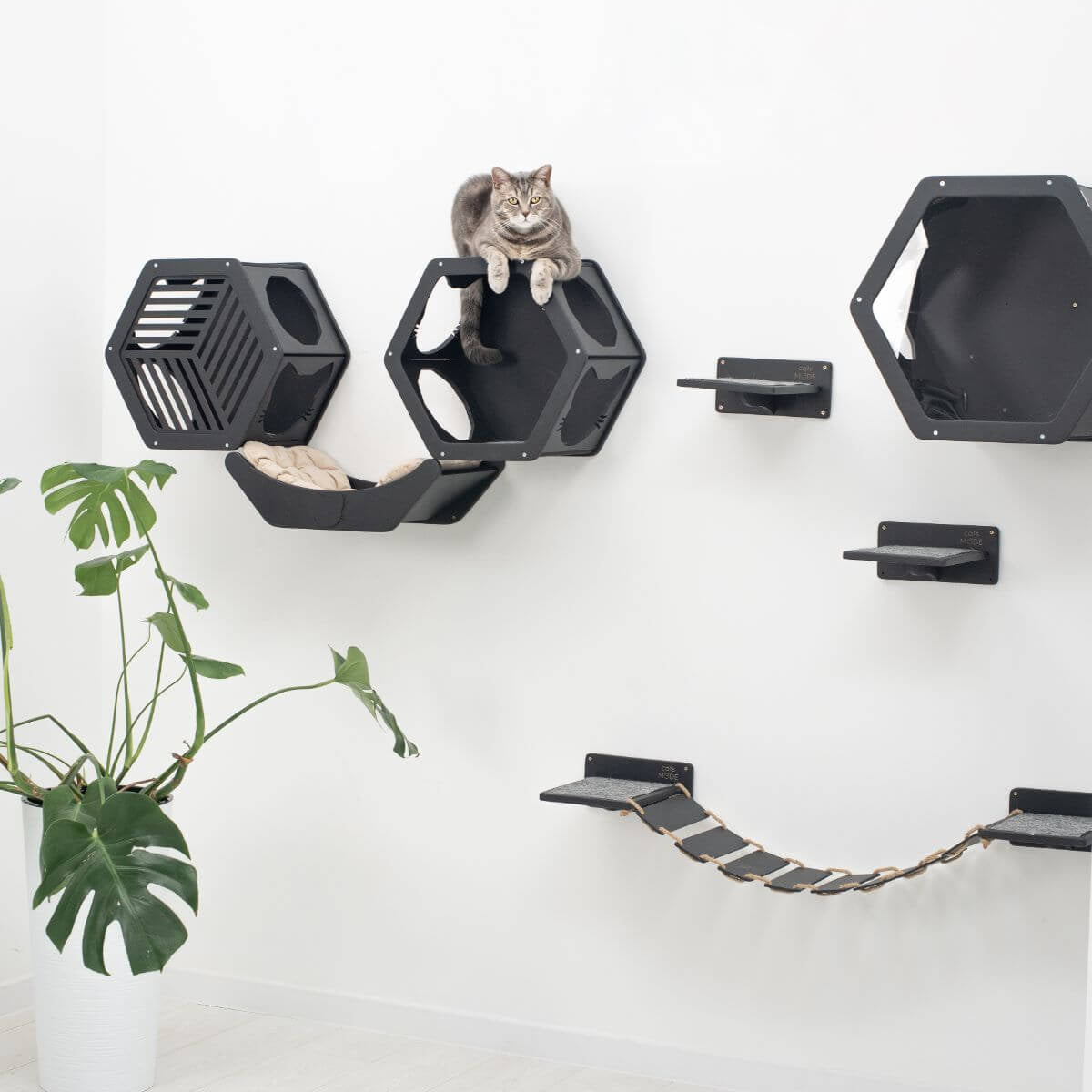 Cat Bed Black