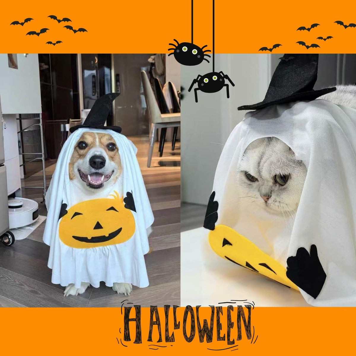 Halloween Cute Pet Outfit