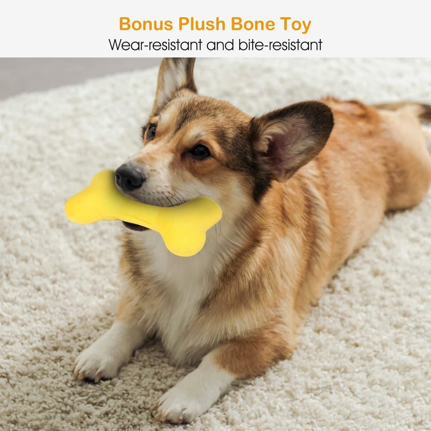 Pet Dog Bed