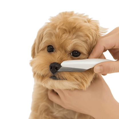 Stainless Steel Comb