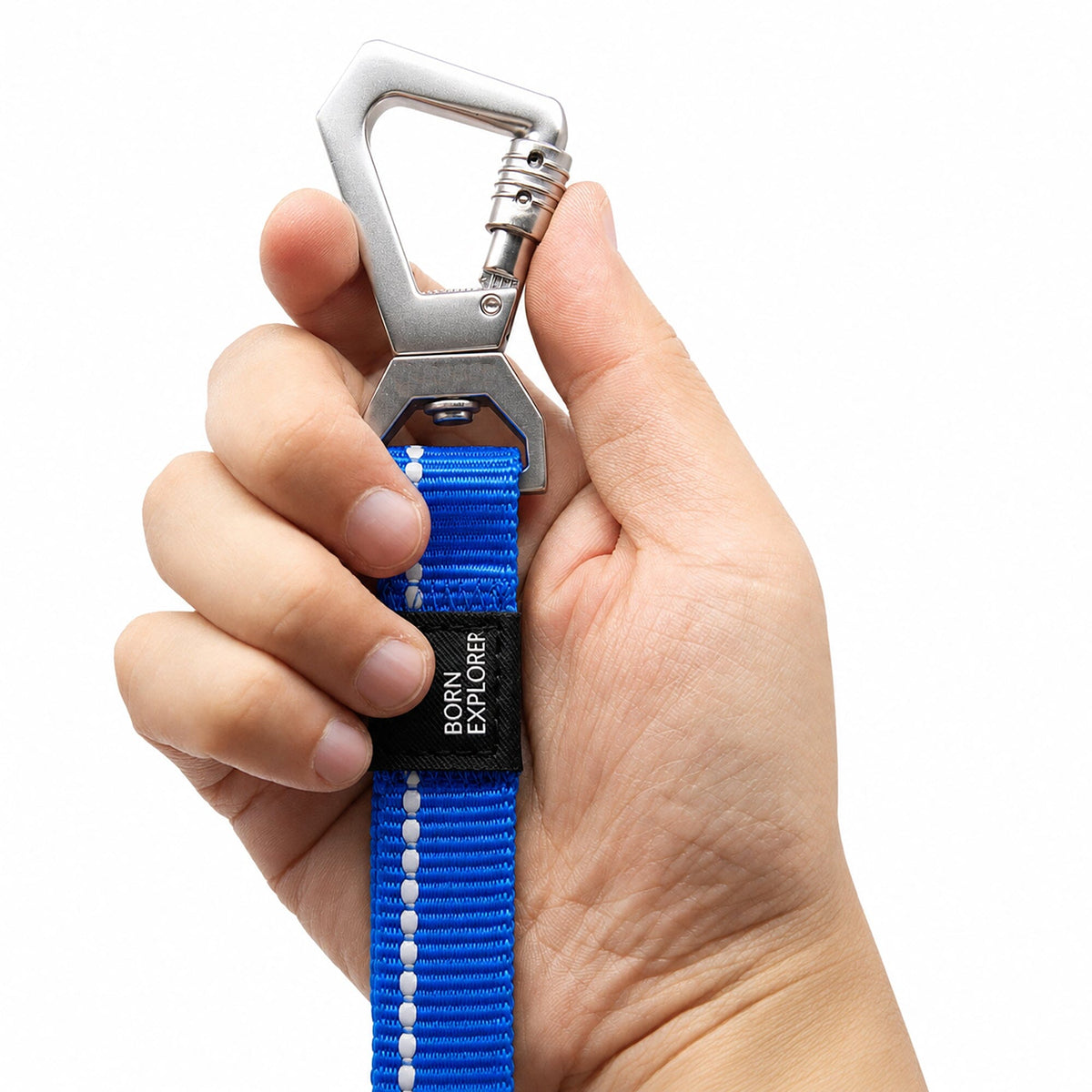 Dog Leash and Collar