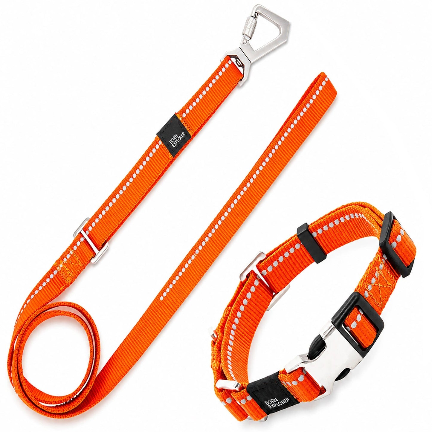 Dog Leash and Collar