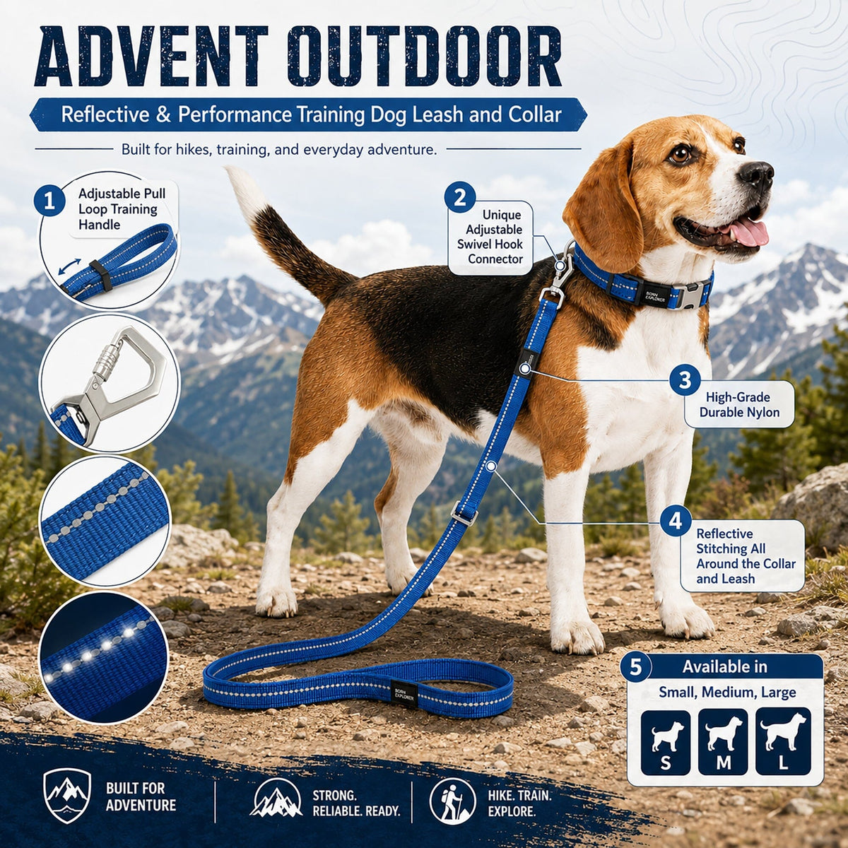 Dog Leash and Collar