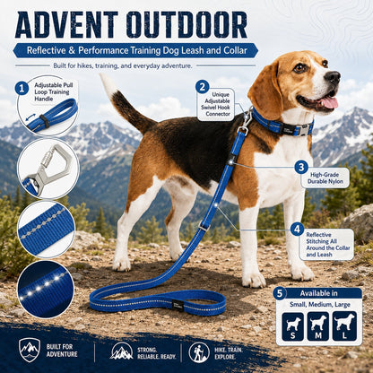 Dog Leash and Collar